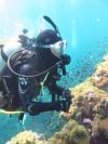Photo for Scuba Diving Bali