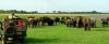 Photo for Yala safari