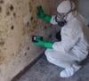 Photo for Dr. Mold Removal & Water damage