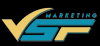 Photo for VSF Marketing: Tampa Website Designer