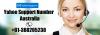 Photo for Dial Yahoo Helpline Number Australia +61-388205238 Toll Free