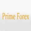 Photo for Prime Forex - Foreign Currency Exchange and Money Transfer Services in Chennai