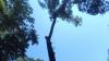 Photo for HV Tree Professionals