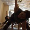 Photo for Poise Yoga Studio & Foot Sanctuary