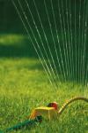 Photo for Landscaping Brother Maradiaga