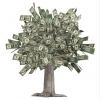 Photo for DHI Financial Services