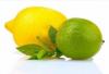 Photo for Global Lime Market Actual Market Situation and Future Outlook To 2022