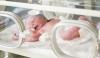 Photo for Things to Know before Buying Newborn Baby Incubators