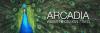Photo for Arcadia Web Designer