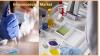 Photo for Immunoassays Market Key Players and Production Information analysis 2024
