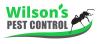 Photo for Wilsons Pest Control Pty Ltd