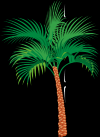 Photo for Beachside Web Services