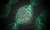 Photo for Peptide Therapeutics in Metabolic Disorders Market Opportunity Analysis, 2017–2025