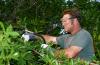 Photo for Austin Tree Surgeons Inc.