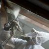 Photo for Spray Foam Insulation Cincinnati
