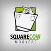 Photo for Square Cow Movers