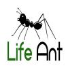 Photo for Life Ant