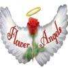 Photo for Flower Angels
