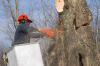 Photo for Greener Earth Lawn And Tree Service- Allen TX