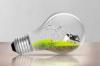 Photo for Low energy supermarket Ltd