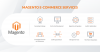 Photo for Magento eCommerce Web Design Development Service - Etisbew