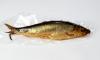 Photo for Smoked Herring Fish Market - Size, Share, Outlook, and Opportunity Analysis, 2018-2026