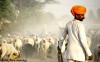 Photo for A Tour to Explain North India with the City of Lakes