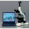 Photo for Microscope Digital Cameras Market Size, Share, Trends, Growth, Regional Outlook and Forecast 2025 - Credence Research