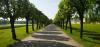 Photo for Denison Greener Earth Lawn And Tree Service