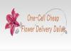 Photo for Same Day Flower Delivery Dallas TX - Send Flowers