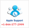 Photo for Apple MacBook Air Support Phone Number +1-844-577-2999