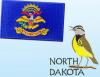 Photo for Embroidery Digitizing in North Dakota