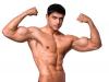 Photo for http://www.wellness4order.com/rock-hard-bull/