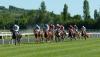 Photo for Horse Racing Tips
