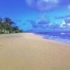 Photo for +|+Guests Rave about Us See Why Resort+Snorkel Gear+|+