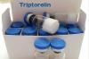 Photo for Triptorelin Market Global Forecast to 2026