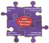 Photo for Agile Consulting Services in Bangalore