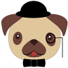 Photo for Sharp Pugs