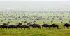 Photo for Best Tour Operator In Uganda
