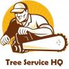 Photo for Tree Service HQ