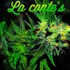 Photo for La Conte's Clone Bar and Dispensary