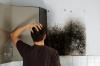 Photo for Mold Cleanup Wichita