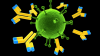 Photo for Global Immunofluorescence Assays Market Estimation of Top Key Players Shares, Revenue, Analysis and Forecasts Till 2023