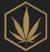 Photo for MedClub Medical Marijuana M.D.