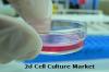 Photo for 2d Cell Culture Market: Clear Understanding of the Competitive Landscape and Key Product Segments