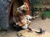 Photo for DrKamau African Psychic and Traditional Love Spell Caster +27833447127