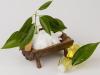 Photo for Camphor Market Key Players and Production Information analysis 2024