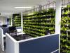 Photo for Vertical Garden Design