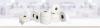 Photo for Facial Tissue Manufacturer in UAE