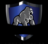 Photo for Gorilla Performance